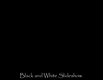 BlackandWhiteSlideshow.gif (416320 bytes)
